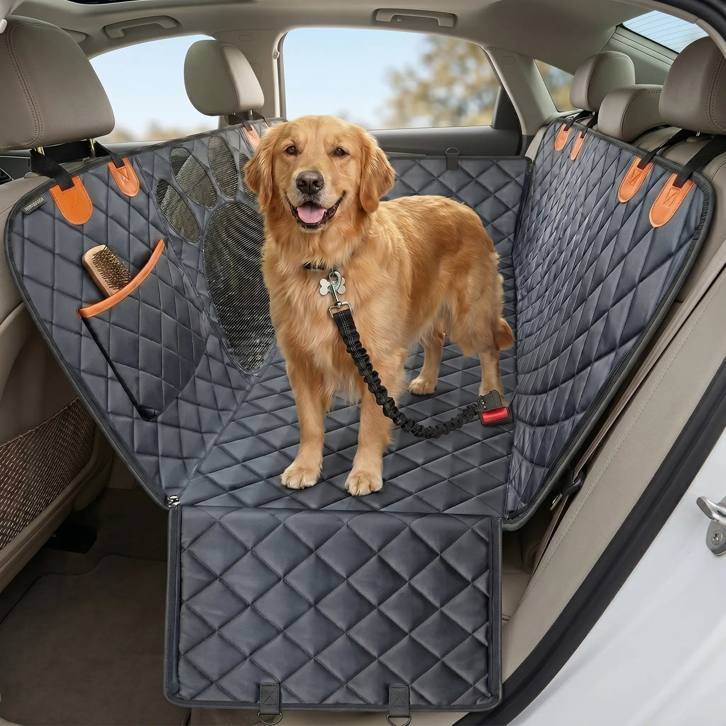 Kit Carro Limpo PawRide