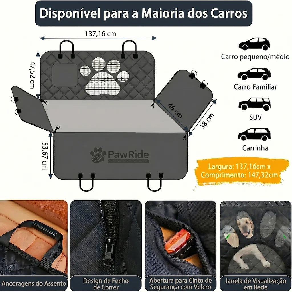 Kit Carro Limpo PawRide