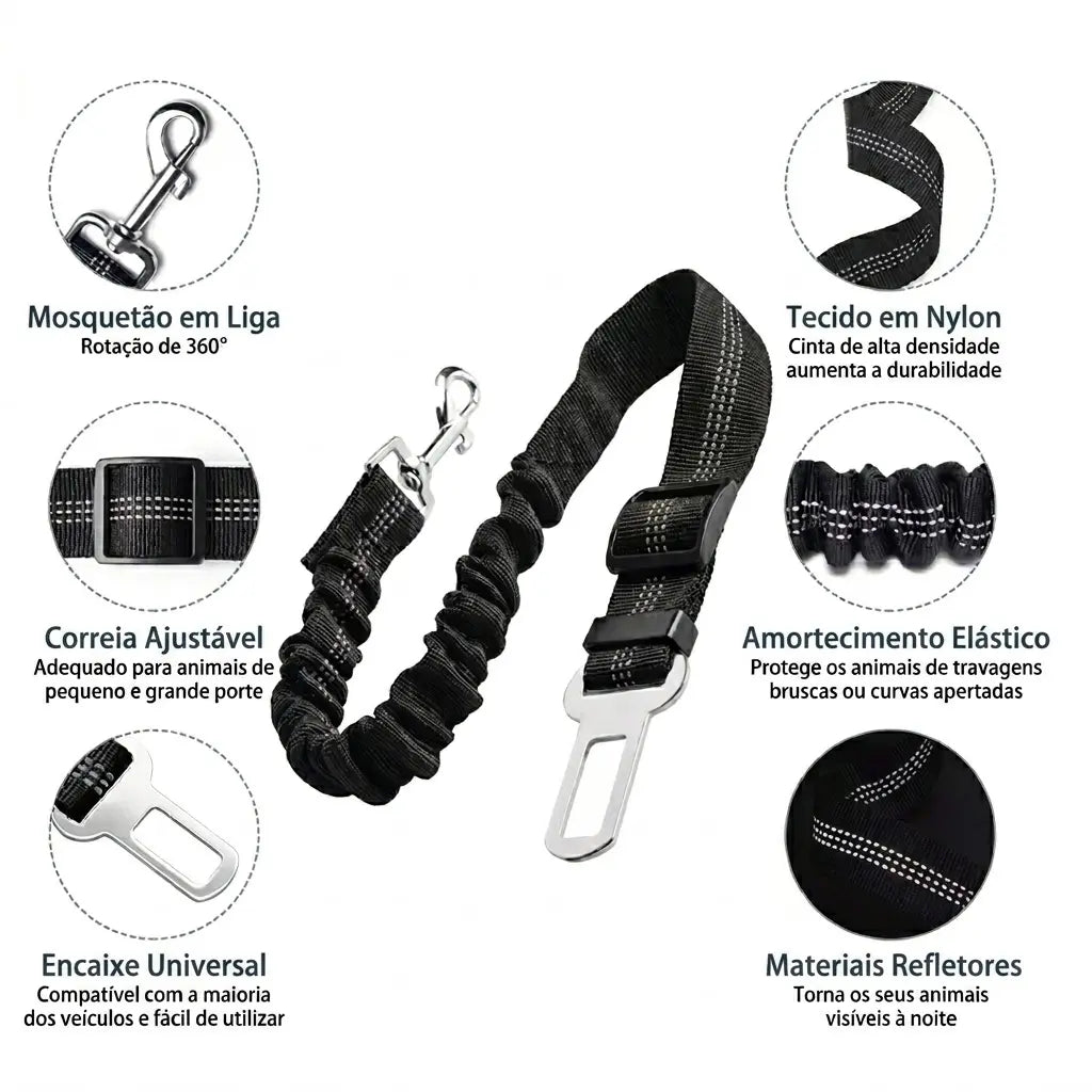 Kit Carro Limpo PawRide