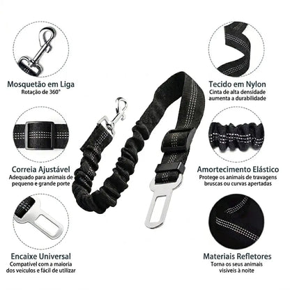 Kit Carro Limpo PawRide